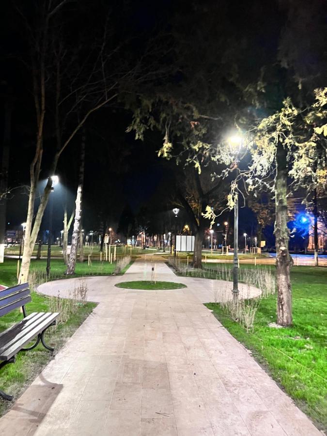 Cozy Apartment Turnu Măgurele Eksteriør bilde